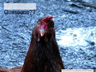 Questions??
http://www.flickr.com/photos/druclimb/3277540656/
 