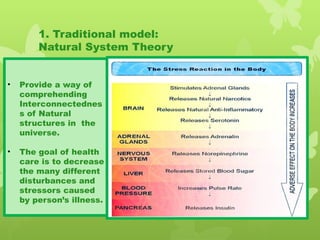 1. Traditional model:
Natural System Theory
• Provide a way of
comprehending
Interconnectednes
s of Natural
structures in the
universe.
• The goal of health
care is to decrease
the many different
disturbances and
stressors caused
by person’s illness.
 