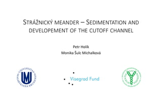 STRÁŽNICKÝ MEANDER – SEDIMENTATION AND
DEVELOPEMENT OF THE CUTOFF CHANNEL
Petr Holík
Monika Šulc Michalková
 