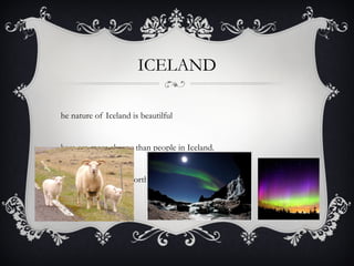 ICELAND The nature of Iceland is beautilful There are more sheeps than people in Iceland. We often can see the Northen lights og Auroa Borealis 