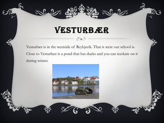 VESTURBÆR Vesturbær is in the westside of Reykjavík. That is were our school is. Close to Vesturbær is a pond that has ducks and you can iceskate on it during winter.  