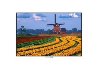 Holland_02.jpg
 