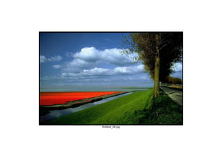 Holland_08.jpg
 
