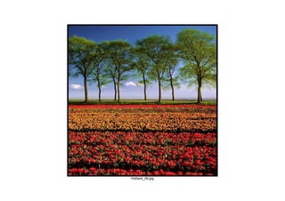 Holland_09.jpg
 