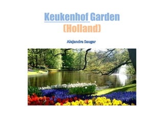 Keukenhof Garden
(Holland)

 