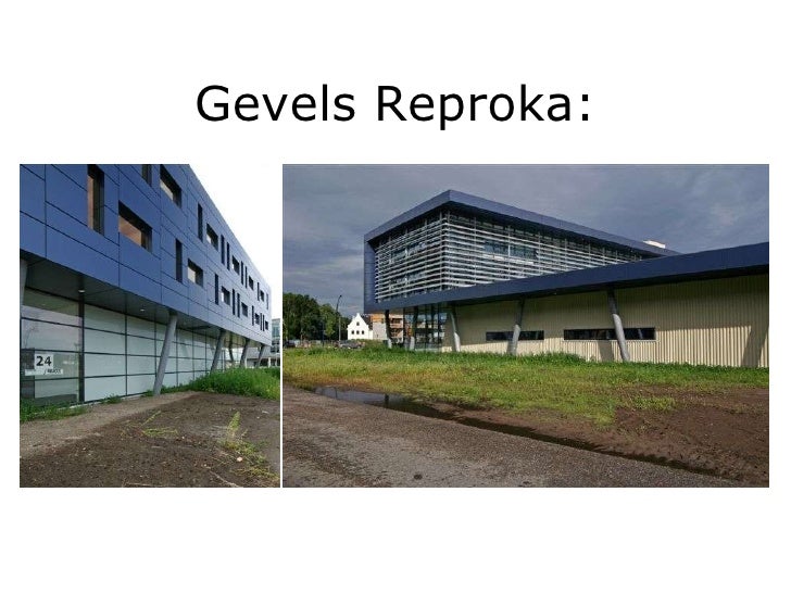 gant kapşonlu