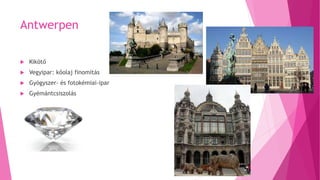 Antwerpen
 Kikötő
 Vegyipar: kőolaj finomítás
 Gyógyszer- és fotokémiai-ipar
 Gyémántcsiszolás
 