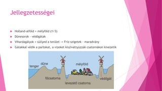 Jellegzetességei
 Holland-alföld + mélyföld (1/3)
 Dűnesorok – védőgátak
 Vihardagályok + süllyed a terület -> Fríz-szigetek – maradvány
 Gátakkal védik a partokat, a vizeket kiszivattyúzzák csatornákon kivezetik
 