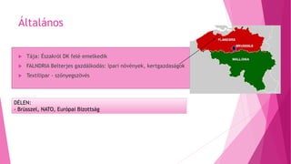 Általános
 Tája: Északról DK felé emelkedik
 FALNDRIA Belterjes gazdálkodás: ipari növények, kertgazdaságok
 Textilipar - szőnyegszövés
DÉLEN:
- Brüsszel, NATO, Európai Bizottság
 