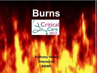 Burns



Anthony Holley
  Intensivist
    RBWH         Bedside Critical Care 2012
 