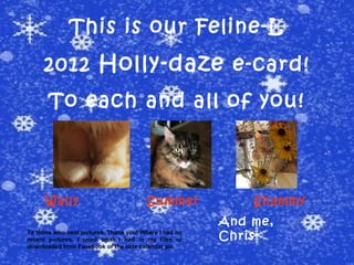 This is our Feline-L
     2012 Holly-daze e-card!
       To each and all of you!



      Wally                              Summer             Shammy
                                                        And me,
To those who sent pictures, Thank you! Where I had no
recent pictures, I used what I had in my files or       Chris
downloaded from Facebook or the olde calendar pic.
 