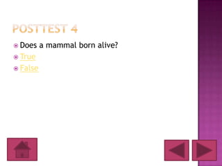  Does    a mammal born alive?
 True
 False
 