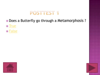  Does    a Butterfly go through a Metamorphosis ?
 True
 False
 