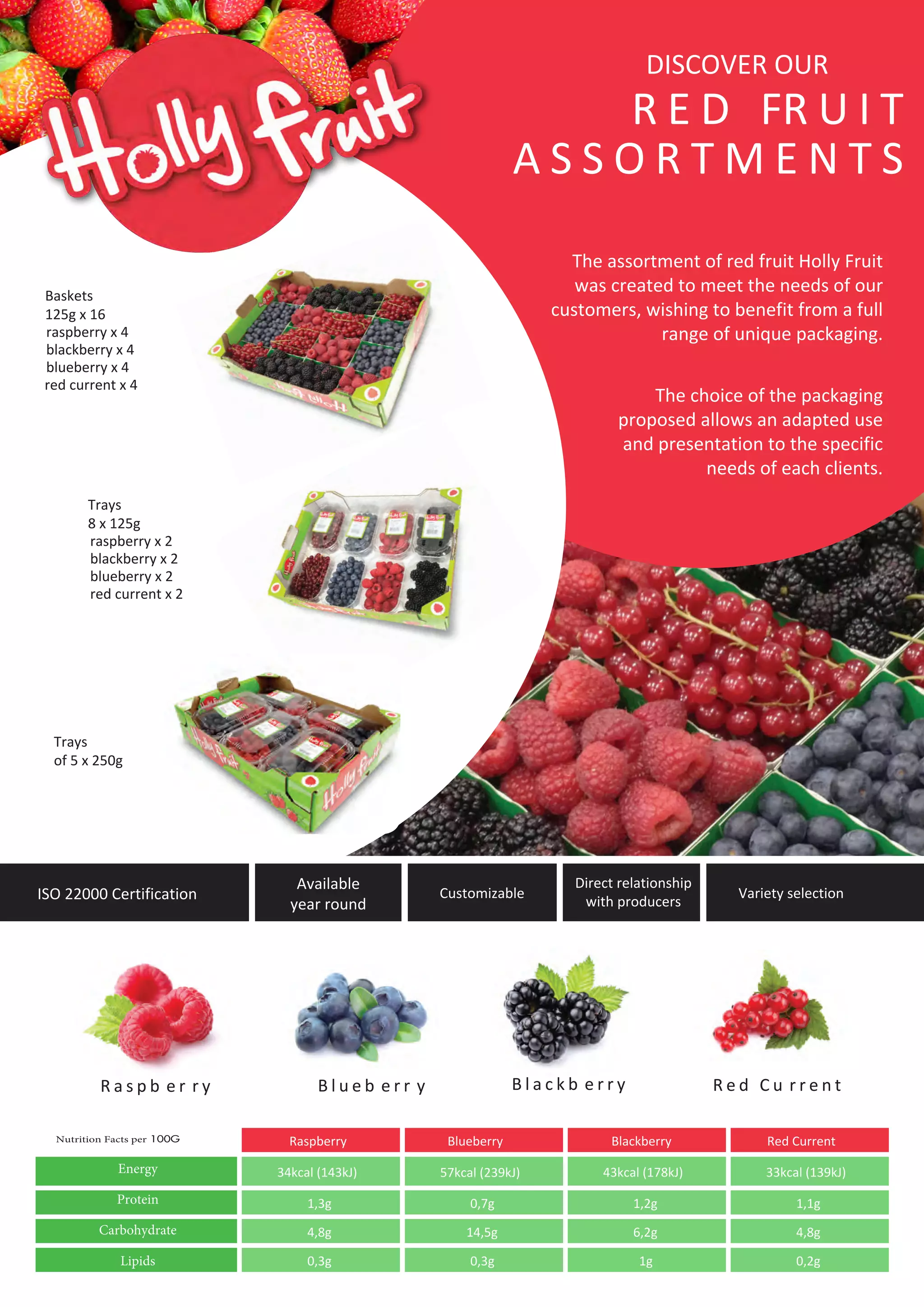 Hollyberry product presentation | PDF