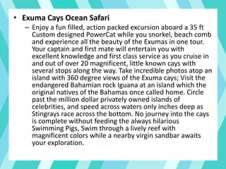 • Exuma Cays Ocean Safari
– Enjoy a fun filled, action packed excursion aboard a 35 ft
Custom designed PowerCat while you snorkel, beach comb
and experience all the beauty of the Exumas in one tour.
Your captain and first mate will entertain you with
excellent knowledge and first class service as you cruise in
and out of over 20 magnificent, little known cays with
several stops along the way. Take incredible photos atop an
island with 360 degree views of the Exuma cays; Visit the
endangered Bahamian rock Iguana at an island which the
original natives of the Bahamas once called home. Circle
past the million dollar privately owned islands of
celebrities, and speed across waters only inches deep as
Stingrays race across the bottom. No journey into the cays
is complete without feeding the always hilarious
Swimming Pigs, Swim through a lively reef with
magnificent colors while a nearby virgin sandbar awaits
your exploration.
 