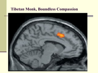 Tibetan Monk, Boundless Compassion 