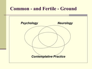 Common - and Fertile - Ground Psychology Neurology Contemplative Practice 