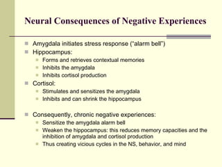 Neural Consequences of Negative Experiences Amygdala initiates stress response (“alarm bell”) Hippocampus: Forms and retrieves contextual memories Inhibits the amygdala Inhibits cortisol production Cortisol: Stimulates and sensitizes the amygdala Inhibits and can shrink the hippocampus Consequently, chronic negative experiences: Sensitize the amygdala alarm bell Weaken the hippocampus: this reduces memory capacities and the inhibition of amygdala and cortisol production Thus creating vicious cycles in the NS, behavior, and mind 