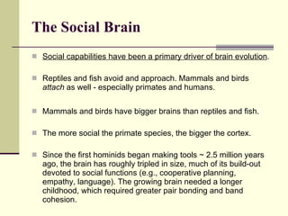 The Social Brain Social capabilities have been a primary driver of brain evolution . Reptiles and fish avoid and approach. Mammals and birds  attach  as well - especially primates and humans.  Mammals and birds have bigger brains than reptiles and fish. The more social the primate species, the bigger the cortex. Since the first hominids began making tools ~ 2.5 million years ago, the brain has roughly tripled in size, much of its build-out devoted to social functions (e.g., cooperative planning, empathy, language). The growing brain needed a longer childhood, which required greater pair bonding and band cohesion.  