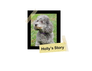 H olly’s Story
 