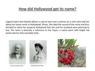 How did Hollywood get its name?
Legend states that Daeida Wilcox is said to have met a woman on a train who told her
about her lovely ranch in Hollywood, Illinois. She liked the sound of the name and thus
decided to name her property Hollywood that she and her husband were planning to
buy. The name is basically a reference to the Toyon, a native plant with bright red
winter berries that resemble holly.
 