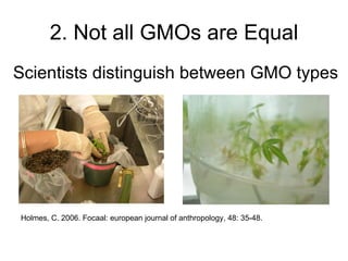 How is the scientific view of genetically modified plants different from the public’s?