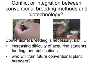 How is the scientific view of genetically modified plants different from the public’s?