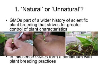 How is the scientific view of genetically modified plants different from the public’s?