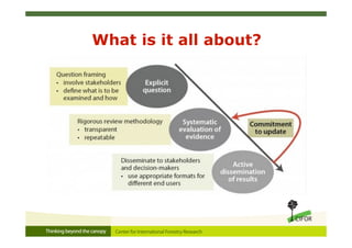 What is it all about?
 