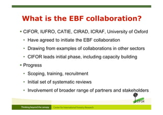 What is the EBF collaboration?
 CIFOR, IUFRO, CATIE, CIRAD, ICRAF, University of Oxford
• Have agreed to initiate the EBF collaboration
• Drawing from examples of collaborations in other sectors
• CIFOR leads initial phase, including capacity building
 Progress
• Scoping, training, recruitment
• Initial set of systematic reviews
• Involvement of broader range of partners and stakeholders
 