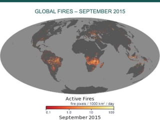 Burning issues: Global and local effects of indonesian haze