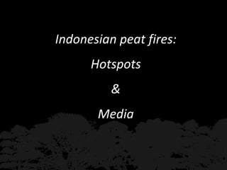 Burning issues: Global and local effects of indonesian haze