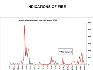 Burning issues: Global and local effects of indonesian haze