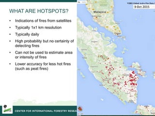 Burning issues: Global and local effects of indonesian haze