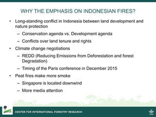 Burning issues: Global and local effects of indonesian haze