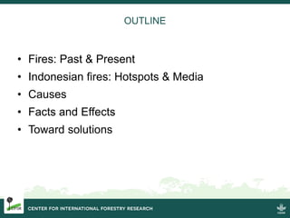 Burning issues: Global and local effects of indonesian haze
