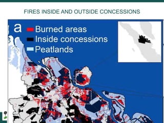 Burning issues: Global and local effects of indonesian haze