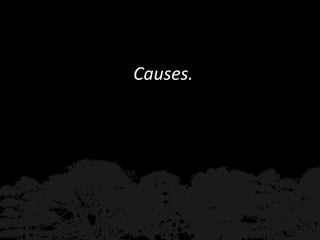 Burning issues: Global and local effects of indonesian haze