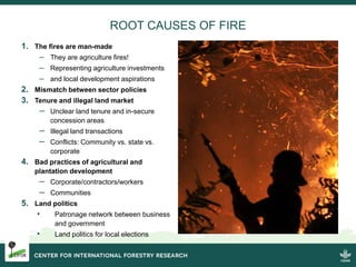 Burning issues: Global and local effects of indonesian haze
