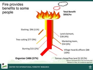 Burning issues: Global and local effects of indonesian haze