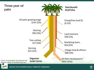 Burning issues: Global and local effects of indonesian haze