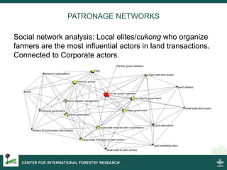 Burning issues: Global and local effects of indonesian haze