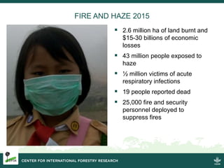 Burning issues: Global and local effects of indonesian haze