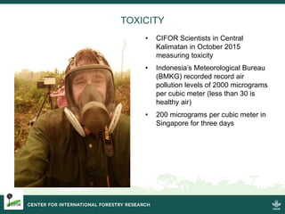 Burning issues: Global and local effects of indonesian haze