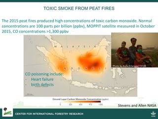 Burning issues: Global and local effects of indonesian haze