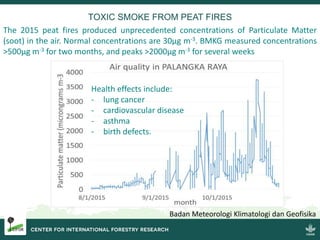 Burning issues: Global and local effects of indonesian haze