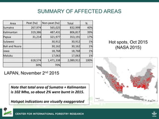 Burning issues: Global and local effects of indonesian haze