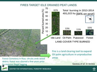 Burning issues: Global and local effects of indonesian haze