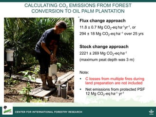 Burning issues: Global and local effects of indonesian haze