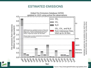Burning issues: Global and local effects of indonesian haze